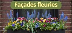 Concours Façades fleuries