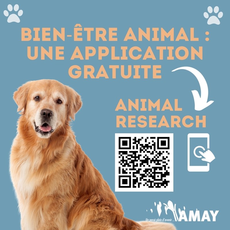 Breve 1.2   Animal research appli