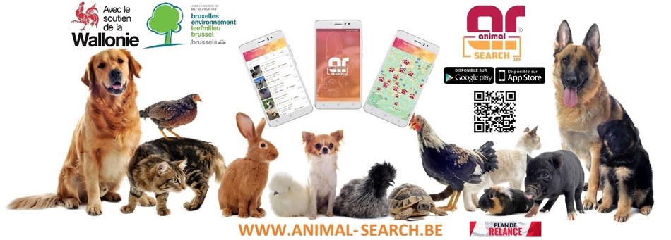 Breve 1.2 application animal research